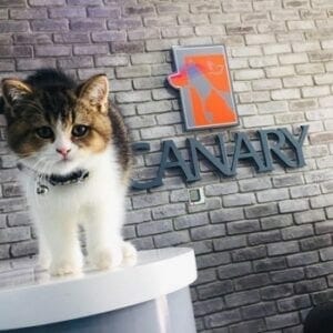 Canary Pet Centre LLC