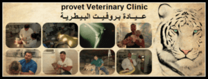 Provet Veterinary Clinic