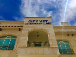 City Vet Clinic - Abu Dhabi