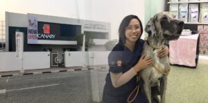 Canary Veterinary Clinic