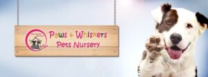 Paws & Whiskers Pets Nursery