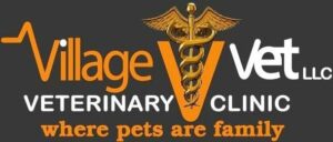Village Vet UAE