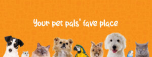 Pet Corner Motor City