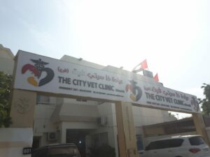 City Vet Clinic- Al Wasl