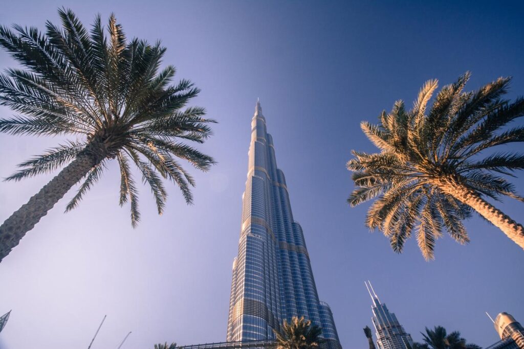 Adopting A Dog In Dubai Everything You Should Know