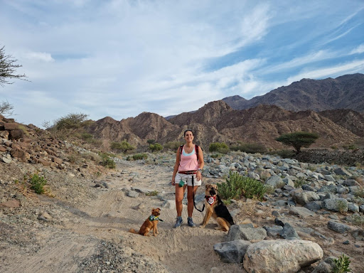 Adventure Tails - Modayna Dam