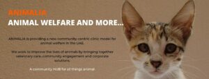 Animalia - animal welfare