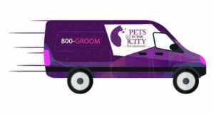 Pets In The City