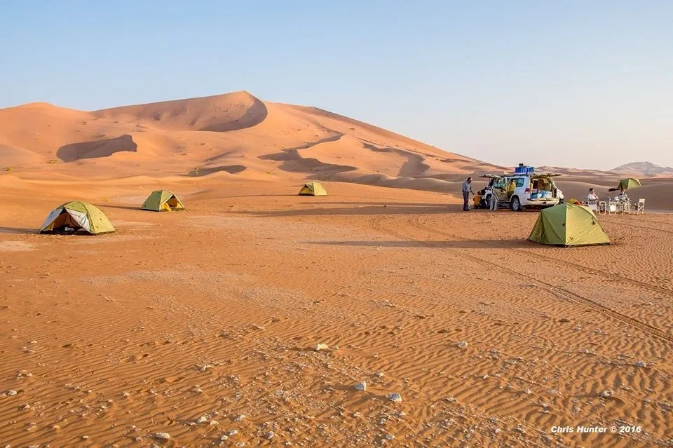 Camping with your dog