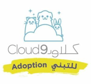 Cloud9 Adoption
