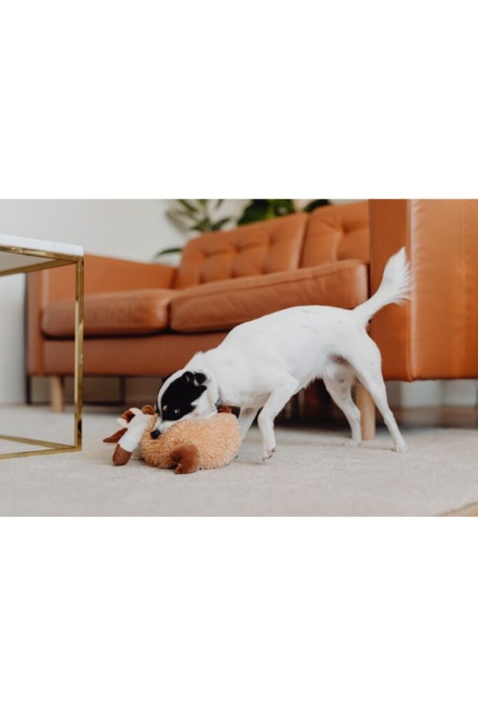 Creative pet supplies that will make your life easier