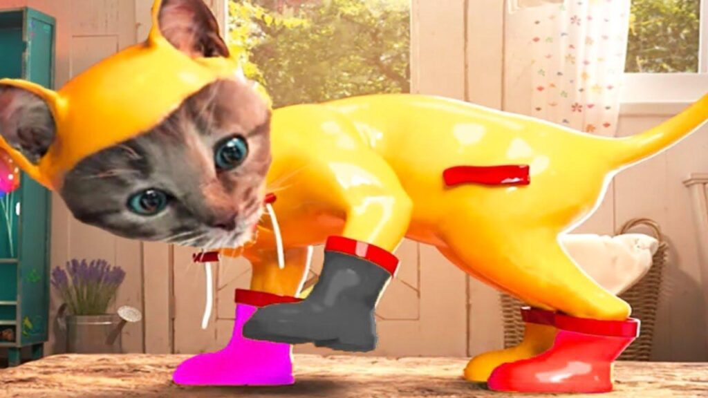 Cute Apparel for Your Cat