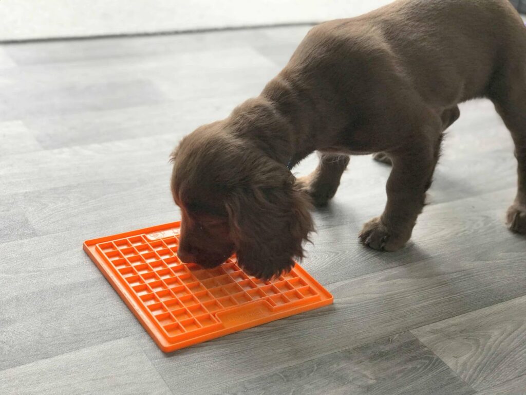 Dog Lick Mat