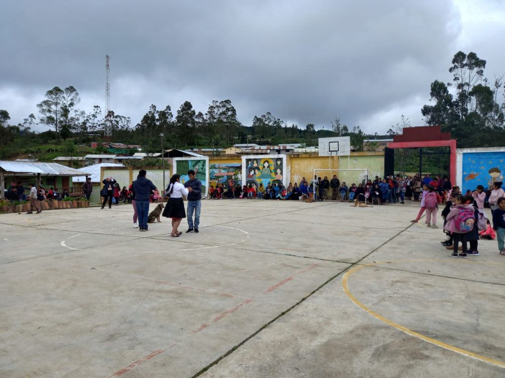 Dog's Break-Dance Moves Wow School Celebration