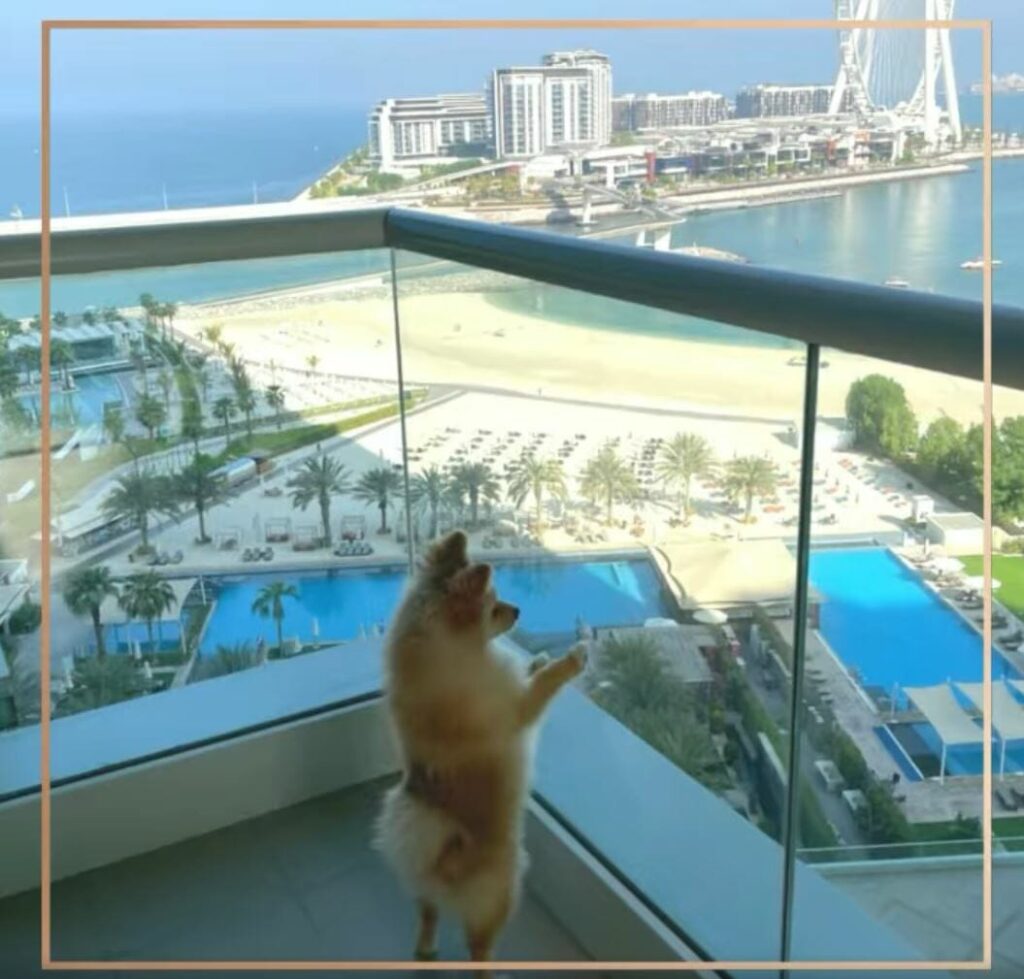 Doubletree by Hilton Jumeirah Beach