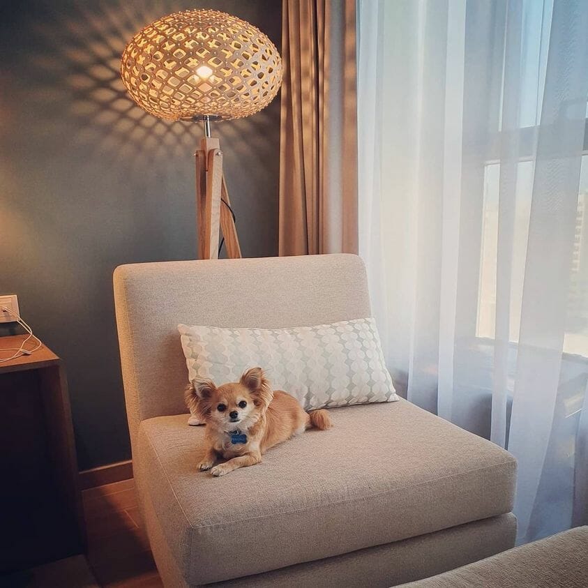 Element Al Jaddaf Hotel