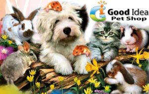 Good Idea Pet Shop