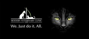 Modern Veterinary Clinic – Al Ain