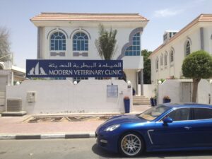Modern Vet - JLT