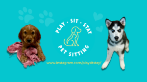 Play Sit Stay
