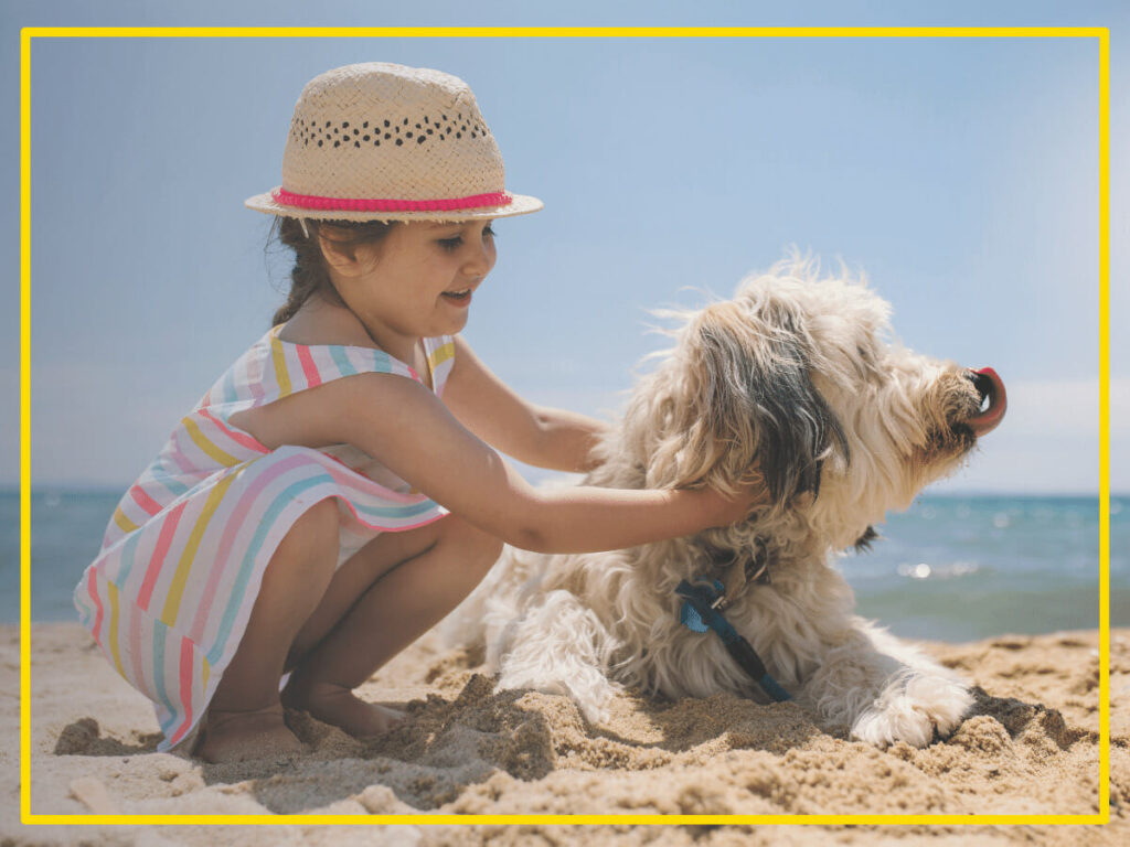 Pet Friendly Beach in UAE