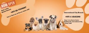 Pet Mania - International City