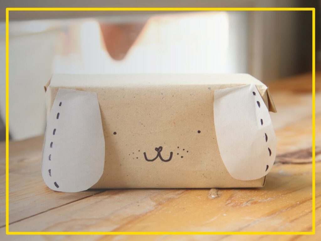 Pet subscription box in Dubai