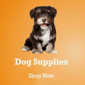 Pets On Click