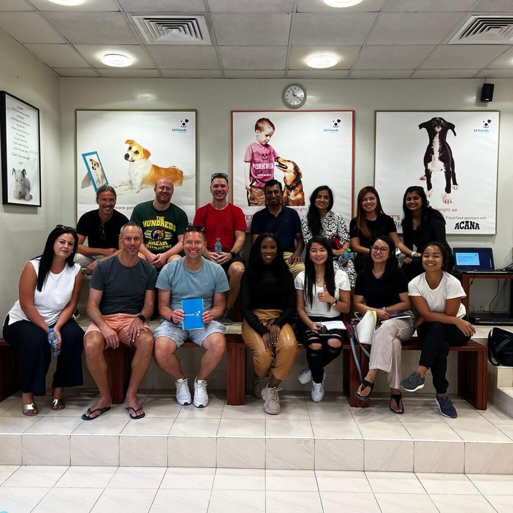 Team building at dog shelter