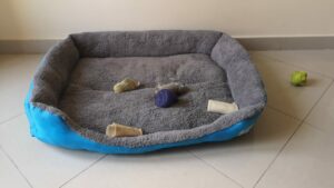 King Size Dog Bed
