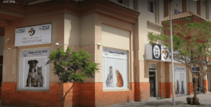 City Vet Clinic JVT