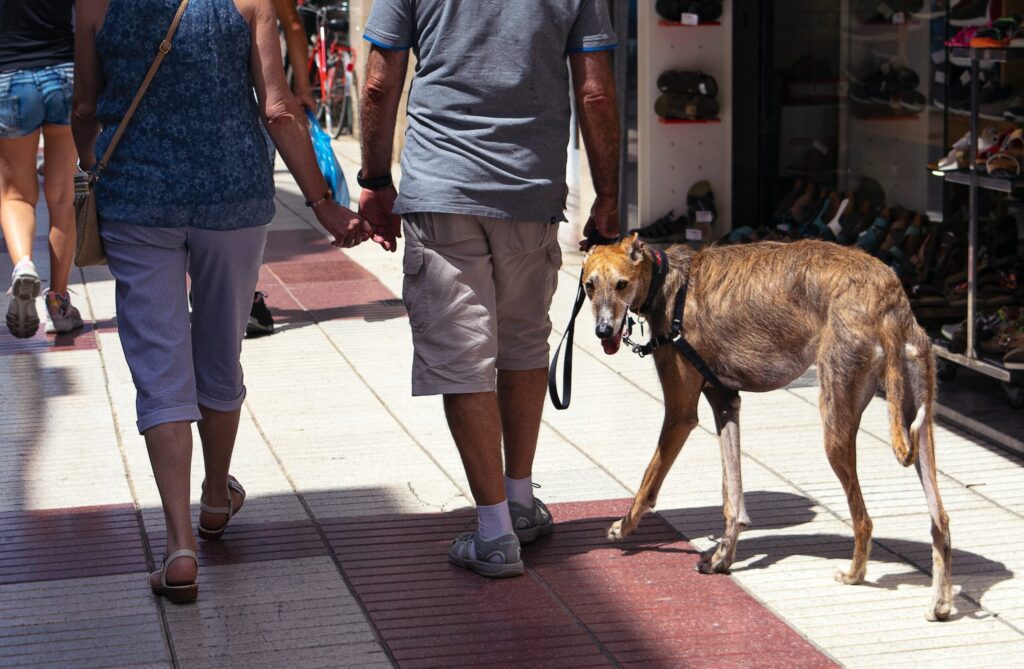 things to do in Easter With Your Do