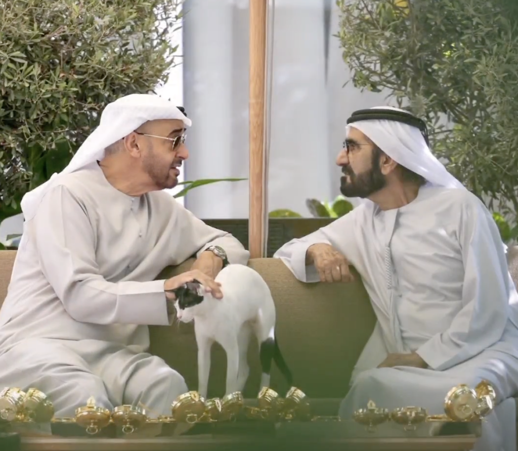 ​​Lovely Kitties Seen at a Meeting of the Rulers of UAE
